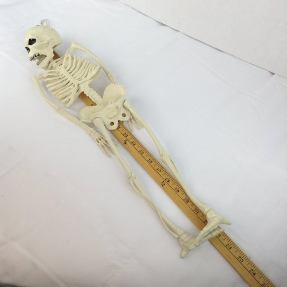 Vintage Halloween Hanging Skeleton 23" - Picture 11 of 13